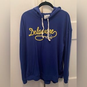 Champion Delaware Ducks hoodie